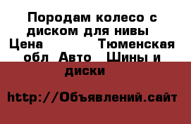 Породам колесо с диском для нивы › Цена ­ 1 500 - Тюменская обл. Авто » Шины и диски   